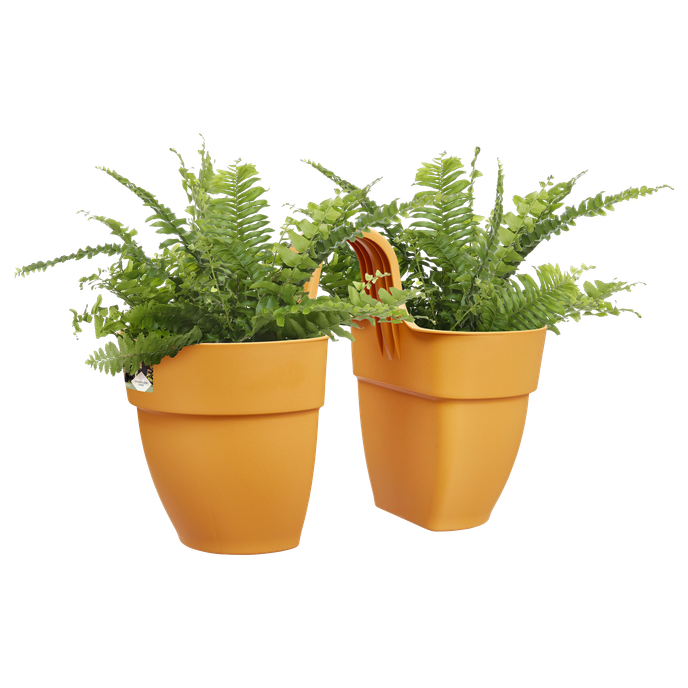 vibia campana flower twin 21cm jaune miel